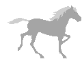 horse12.gif (2602 bytes)