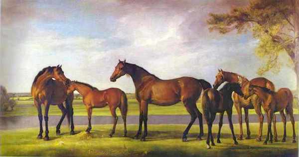 mares and foals.jpg (18537 bytes)