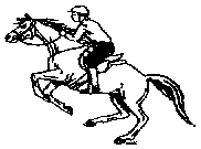 jumpinghorse.gif (1348)